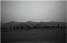 dailyPhoto40